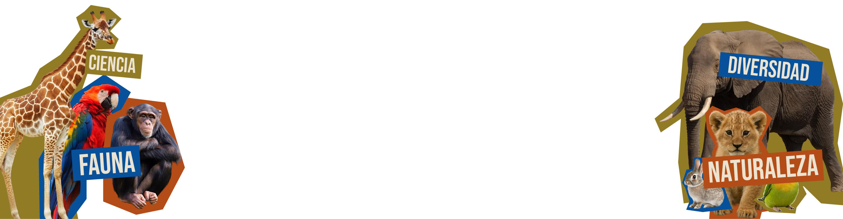 Zoología