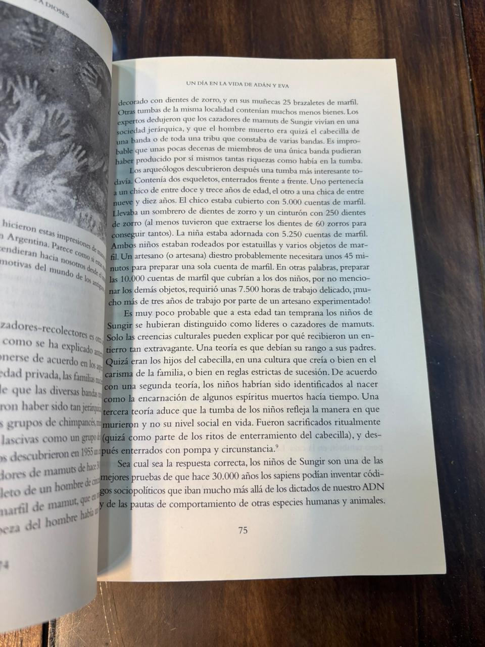 De animales a dioses. Yuval Noah Harari