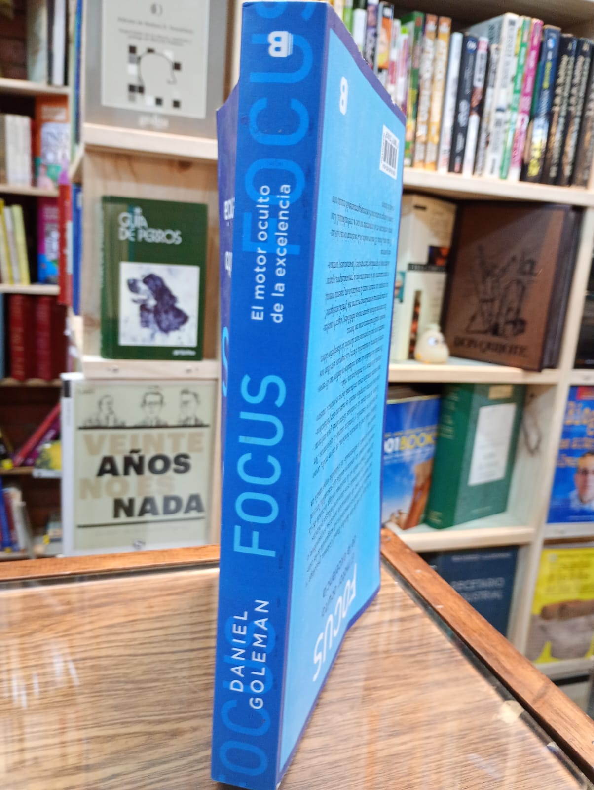 Focus, el motor oculto de la excelencia. Daniel Goleman