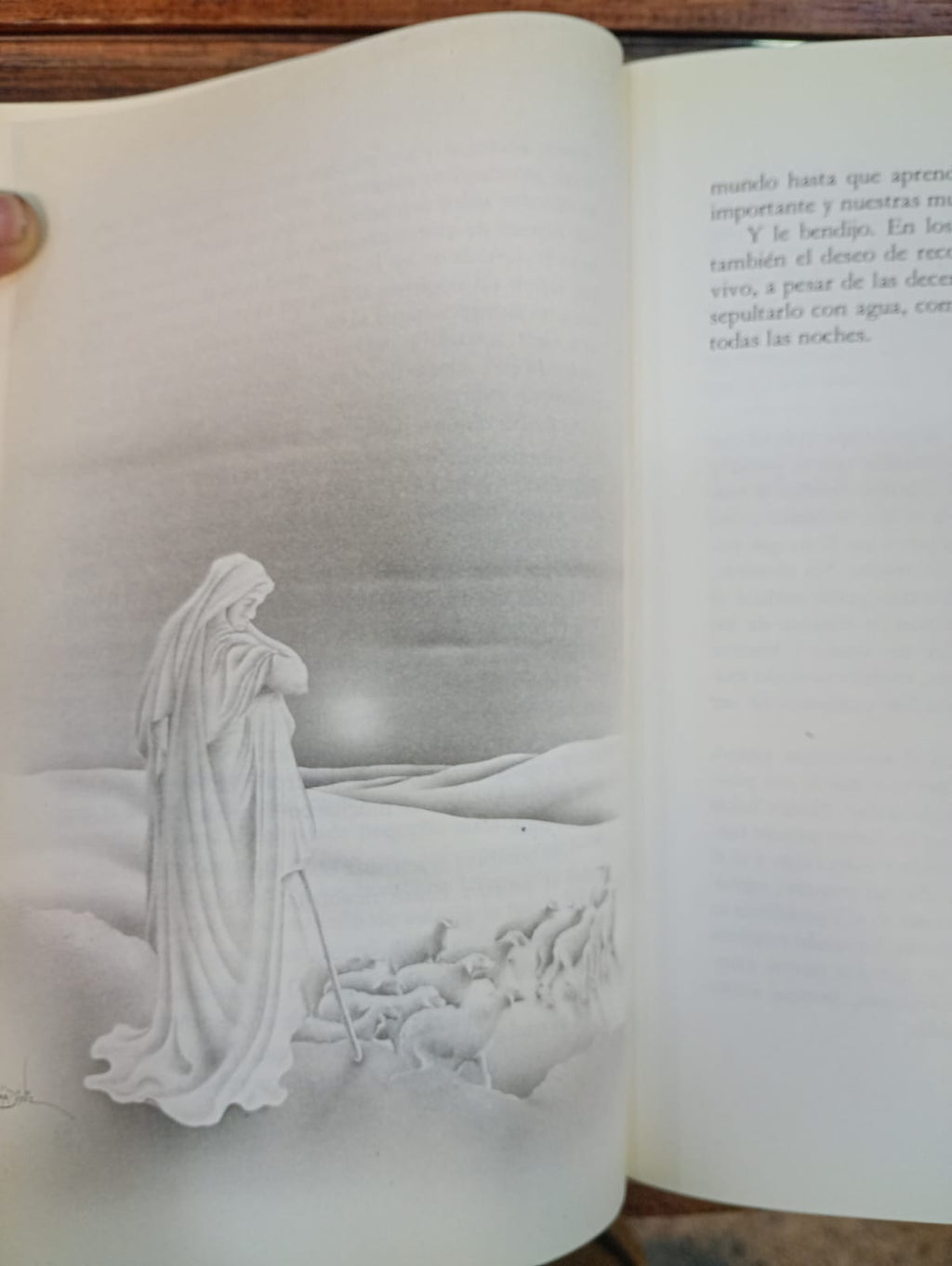 El alquimista. Paulo Coelho