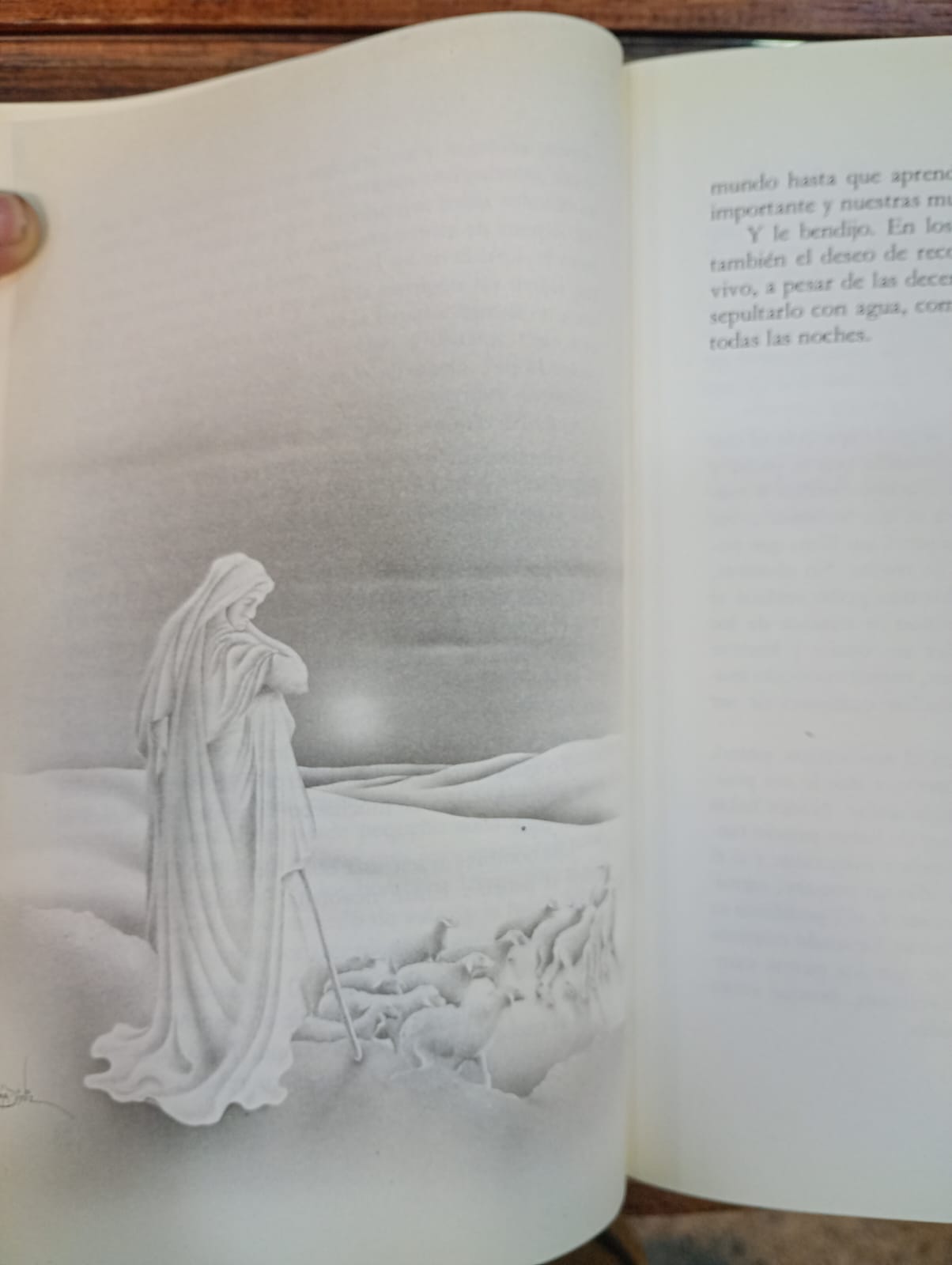 El alquimista. Paulo Coelho