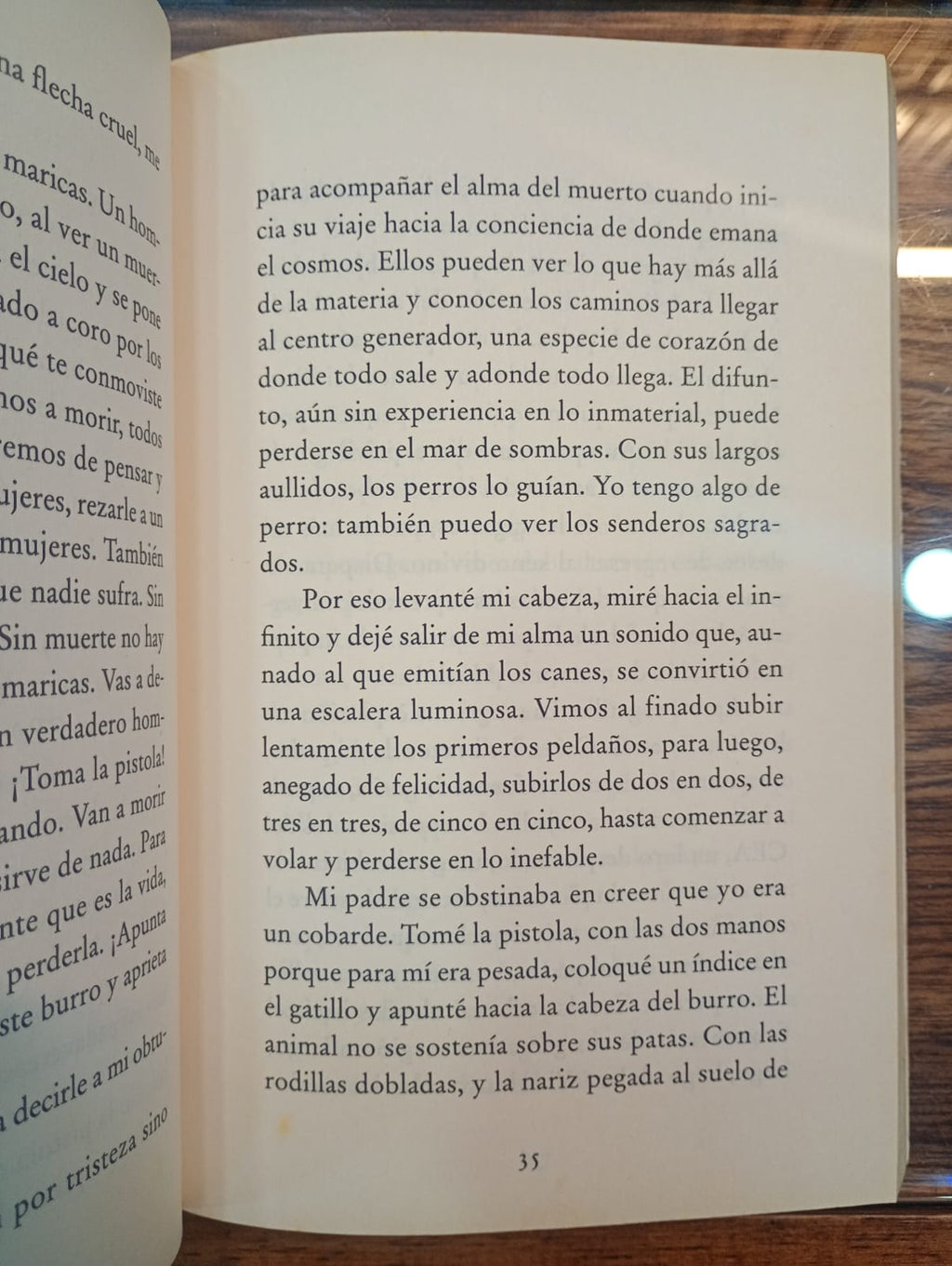 Cuentos mágicos y del intramundo. Alejandro Jodorowsky