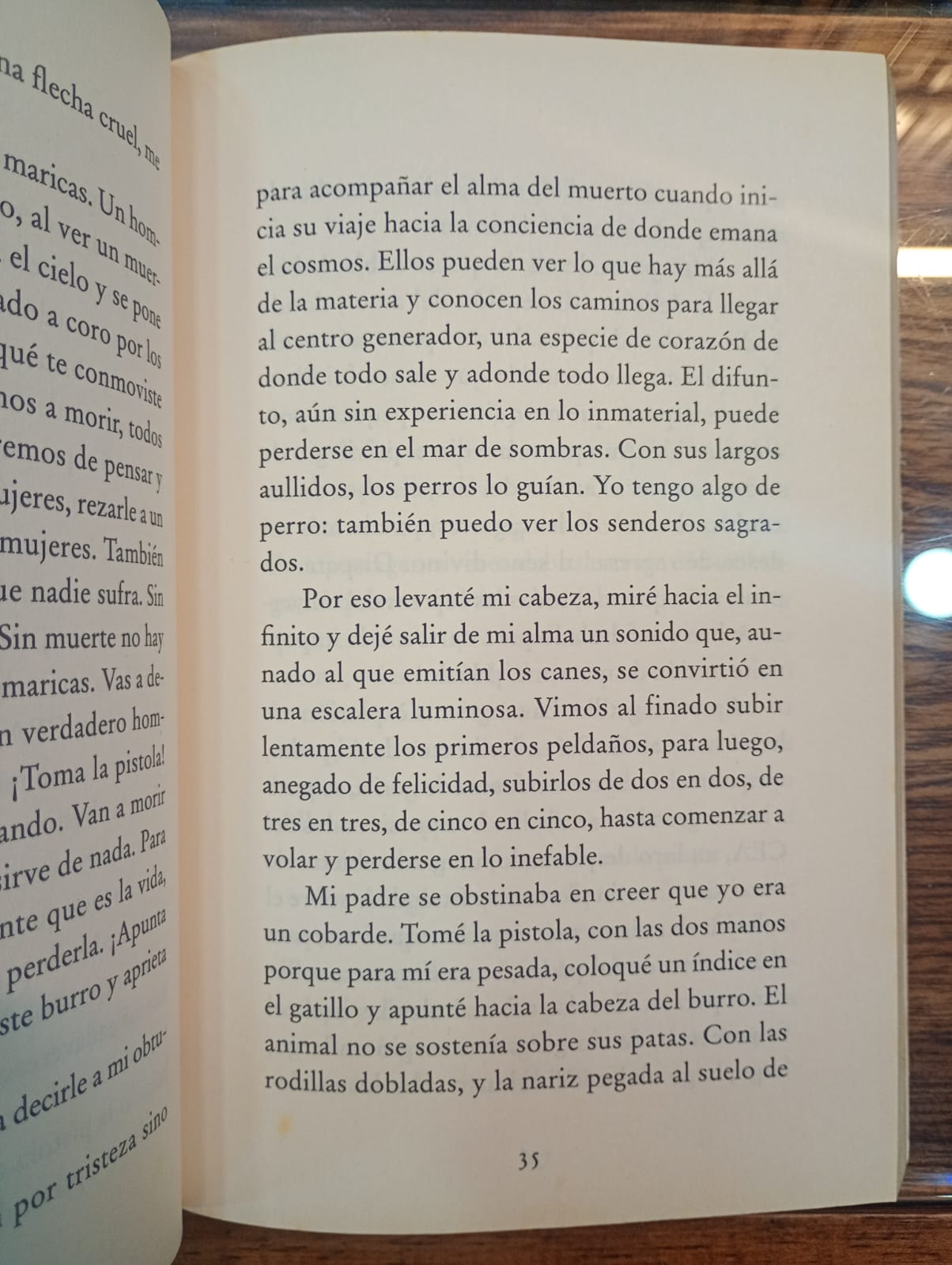 Cuentos mágicos y del intramundo. Alejandro Jodorowsky