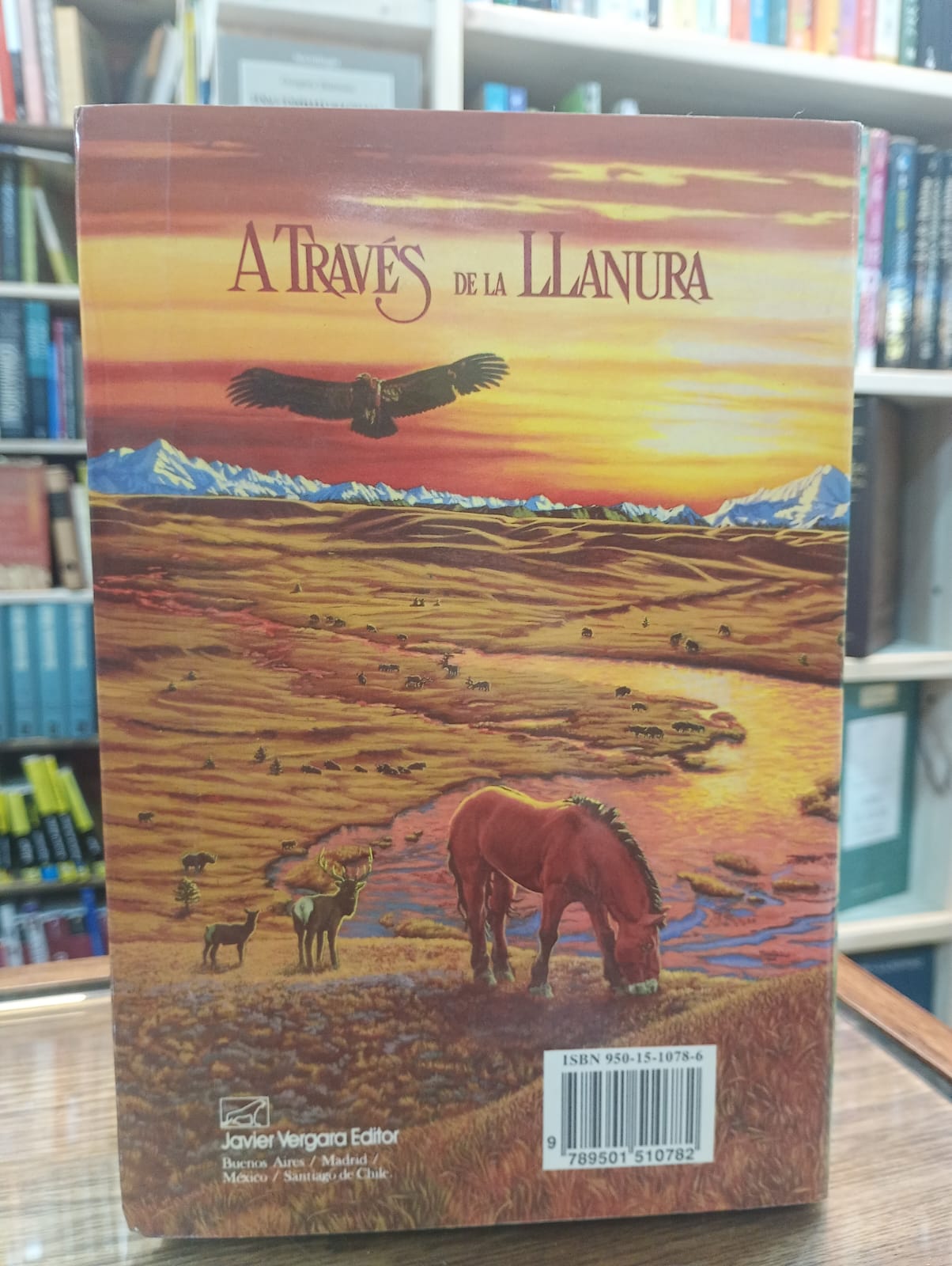 A través de la llanura. Jean M, Auel