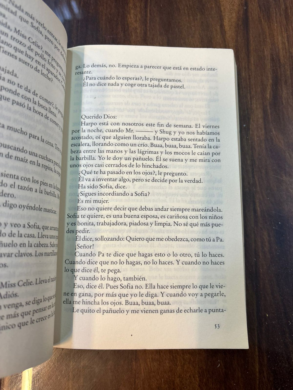El color púrpura. Alice Walker