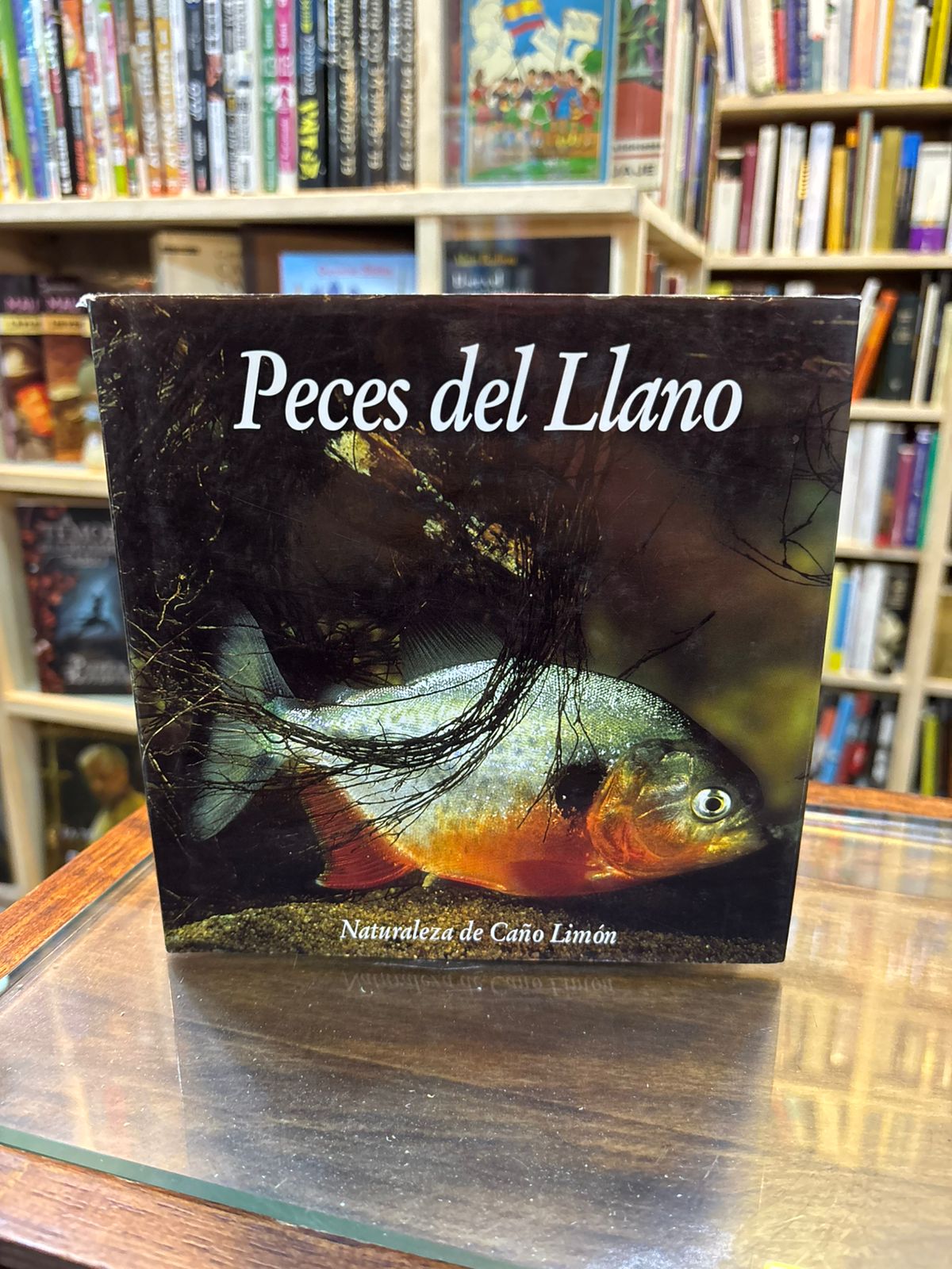 Peces del Llano. Naturaleza de Caño Limón