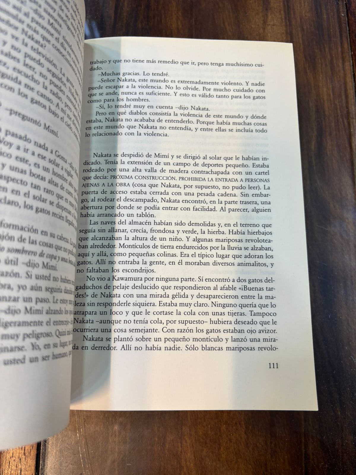 Kafka en la orilla