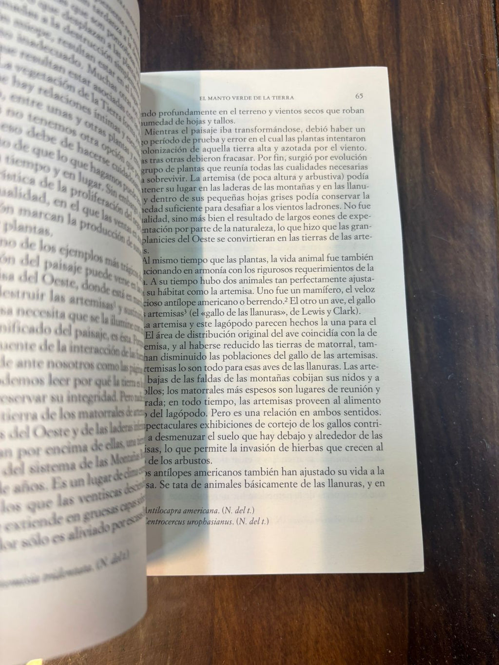 Primavera silenciosa