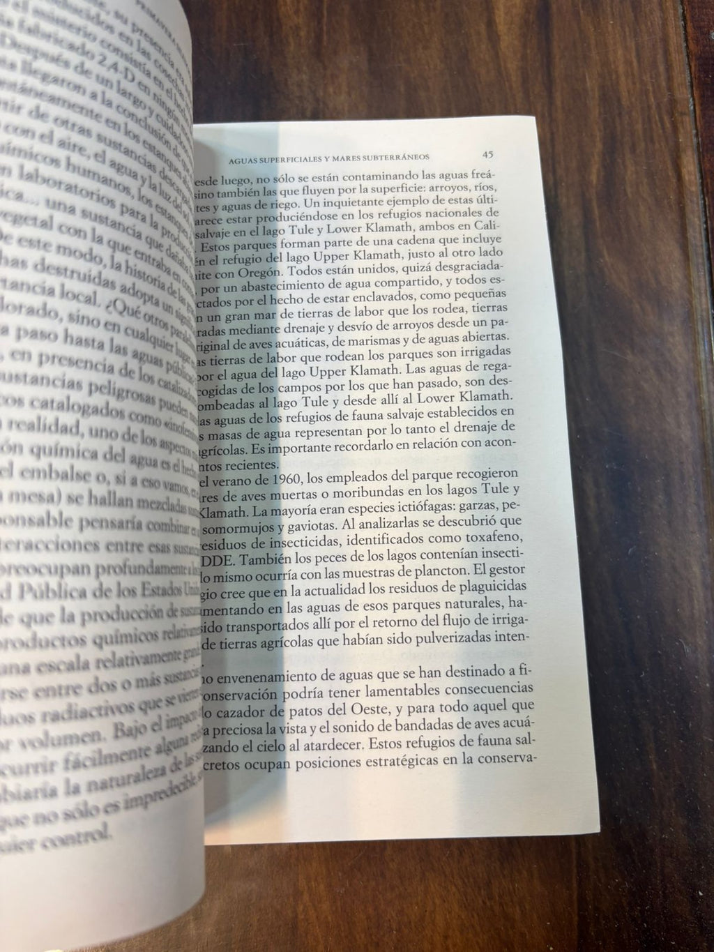 Primavera silenciosa