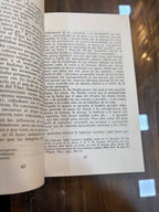 El libro Tibetano de los muertos (Bardo Tödöl)