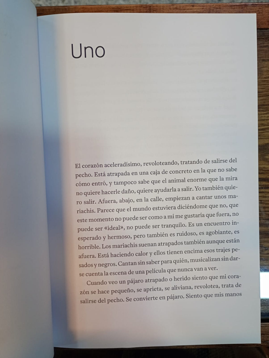 Niñapájaroglaciar