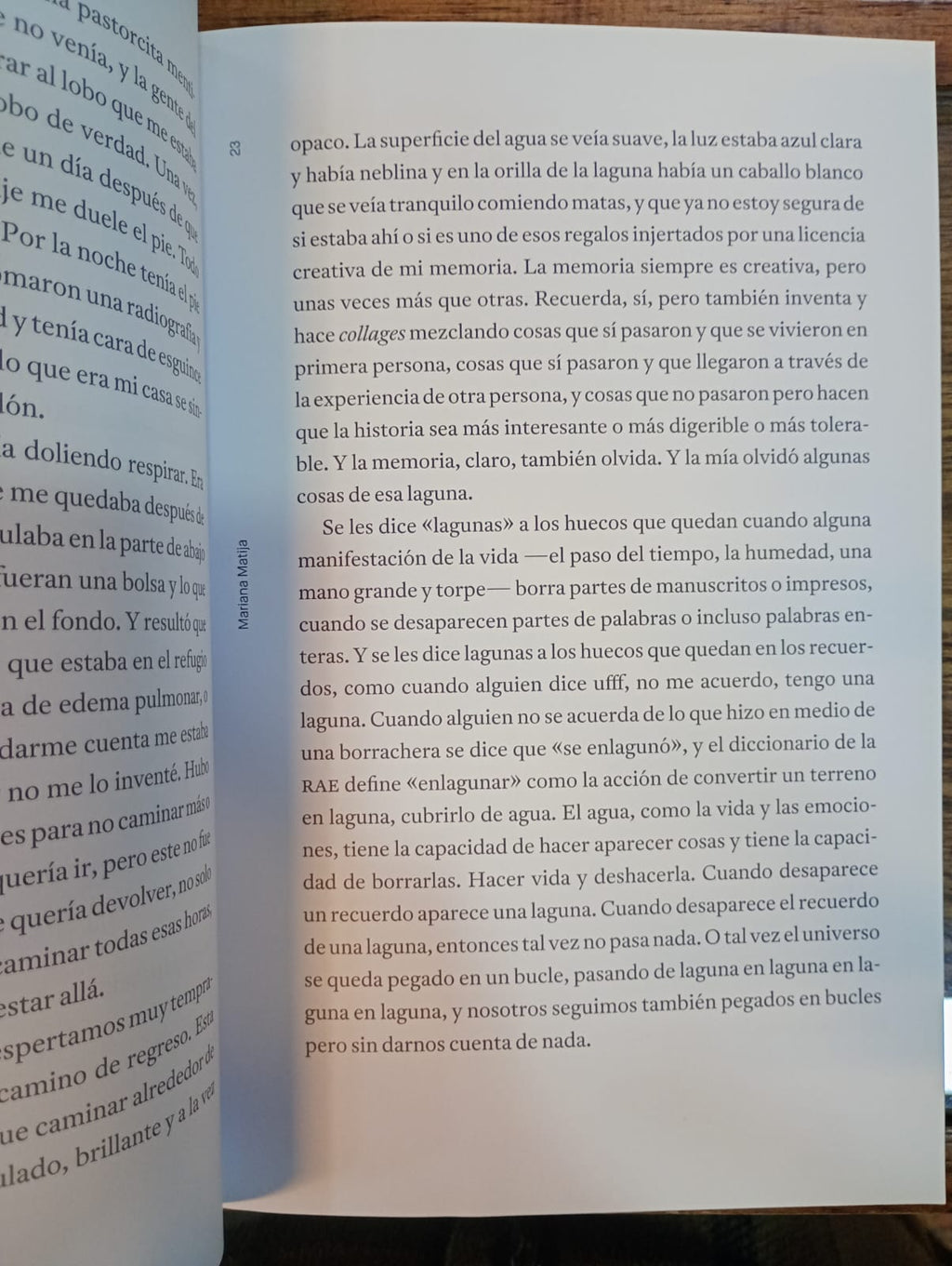 Niñapájaroglaciar