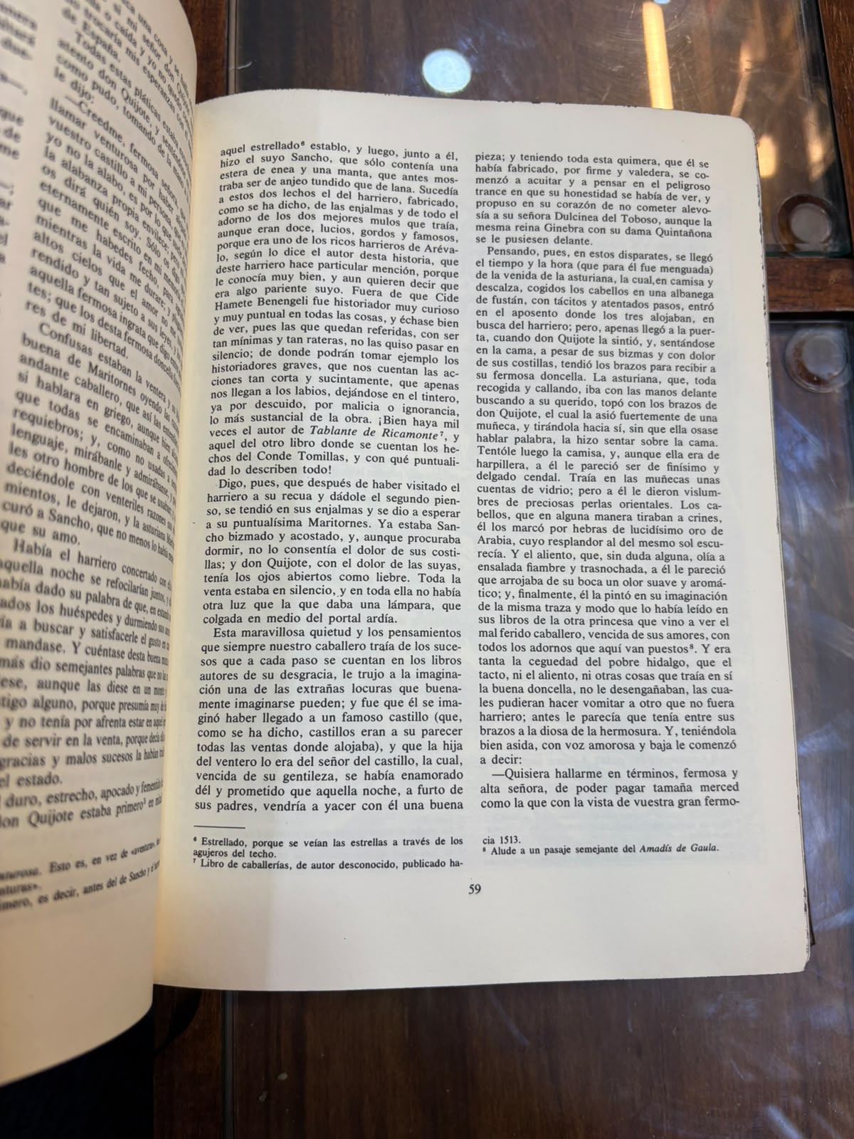 Don Quijote de la Mancha (edición especial)