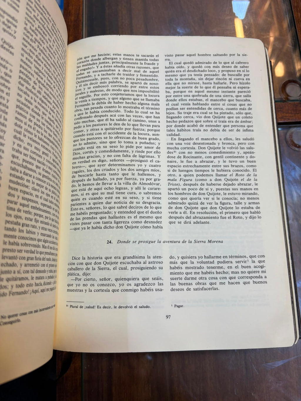 Don Quijote de la Mancha (edición especial)
