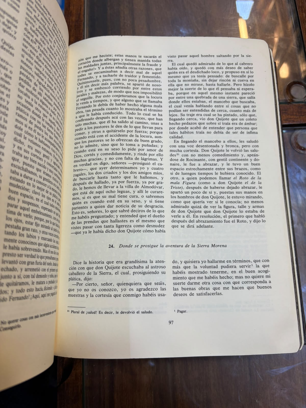 Don Quijote de la Mancha (edición especial)