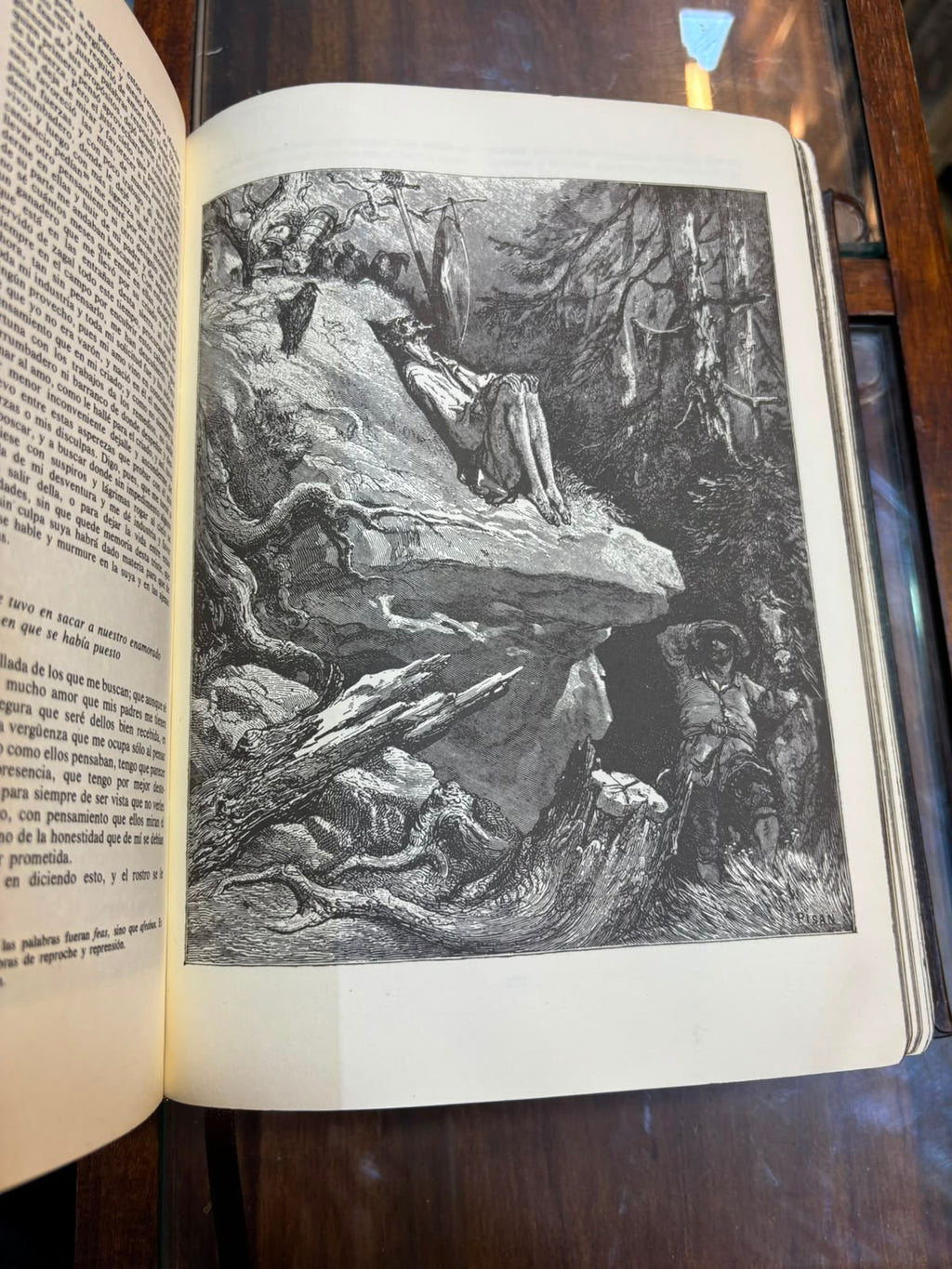 Don Quijote de la Mancha (edición especial)
