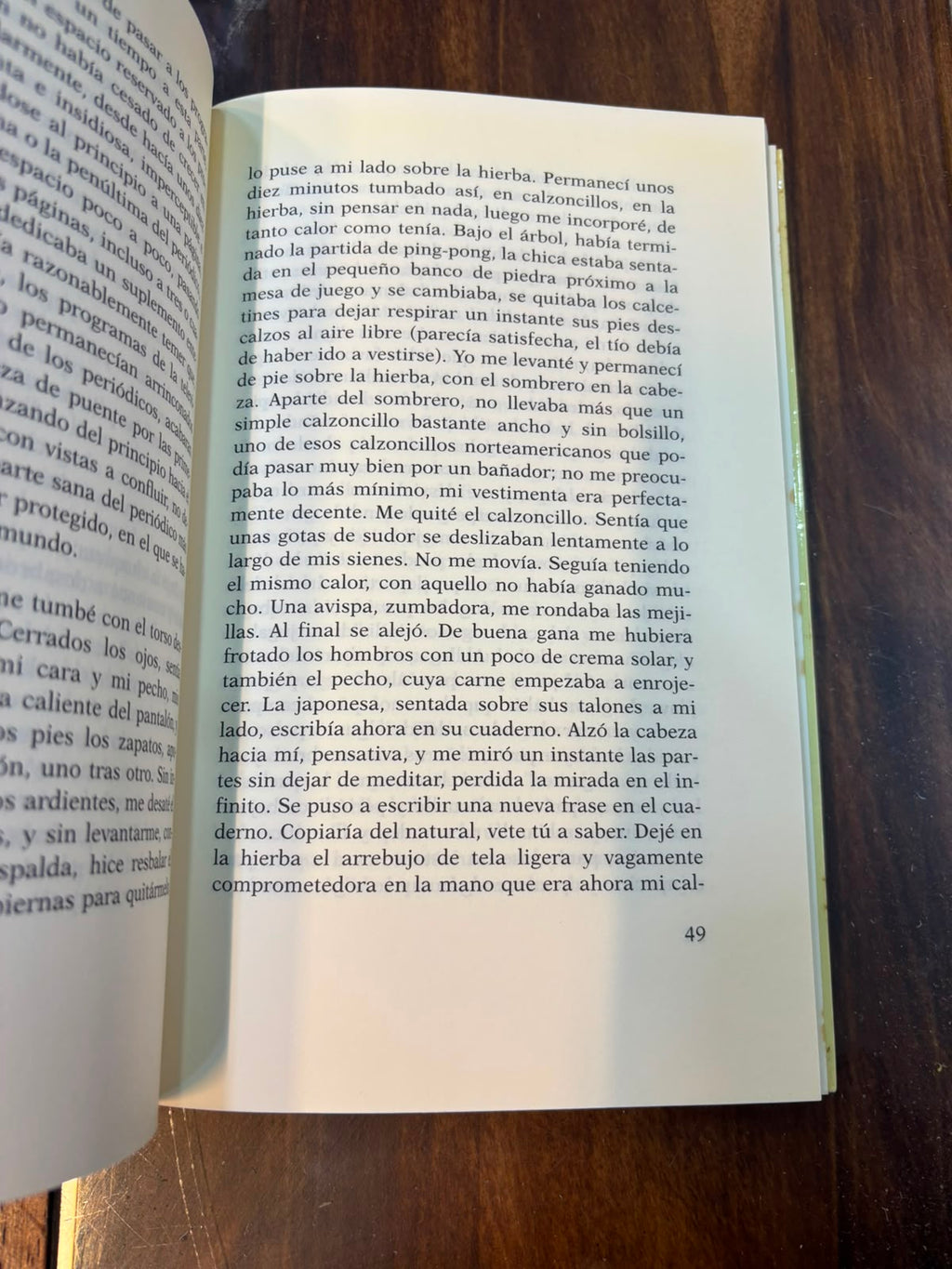 La televisión