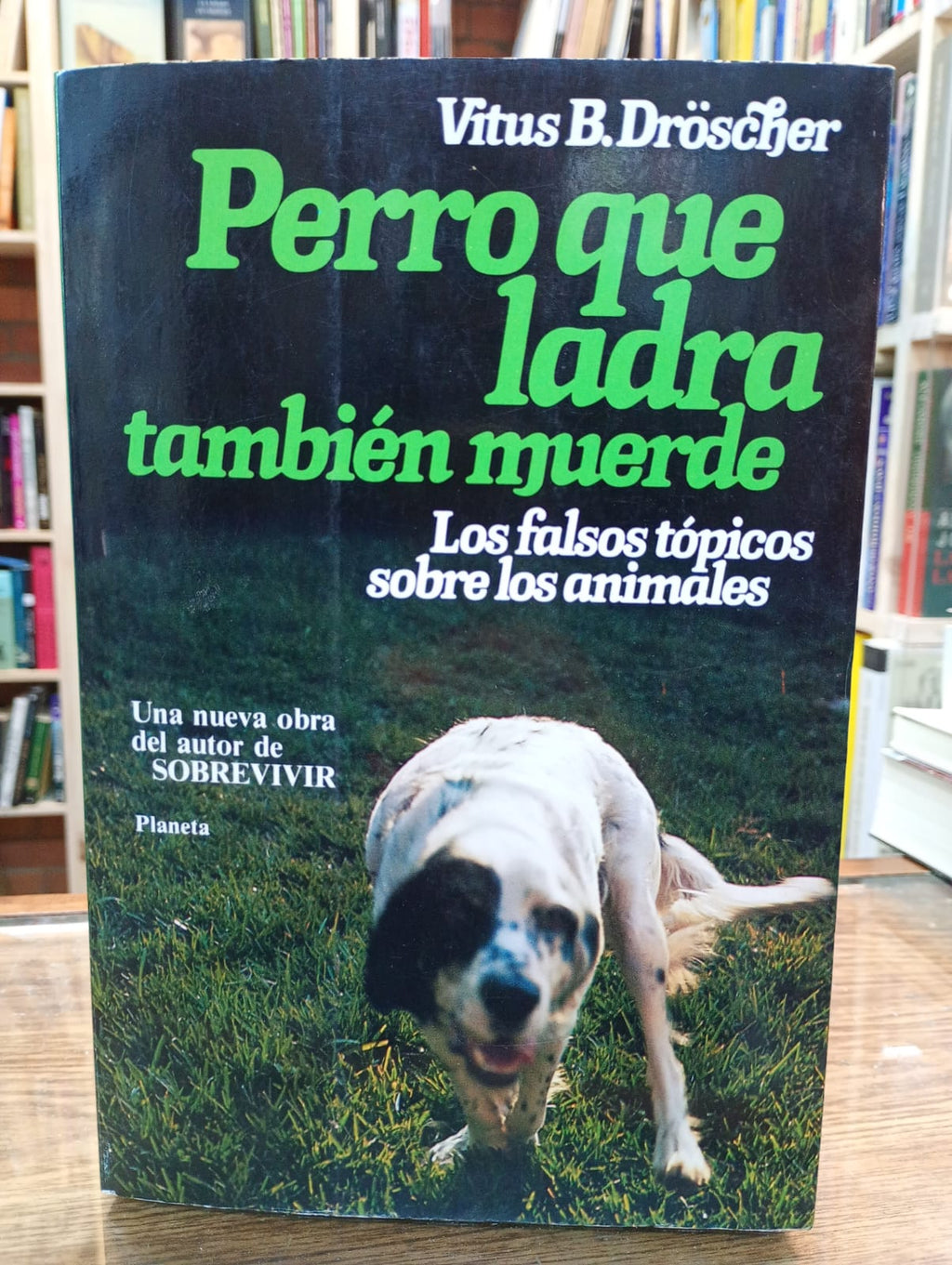 Perro que ladra también muerde