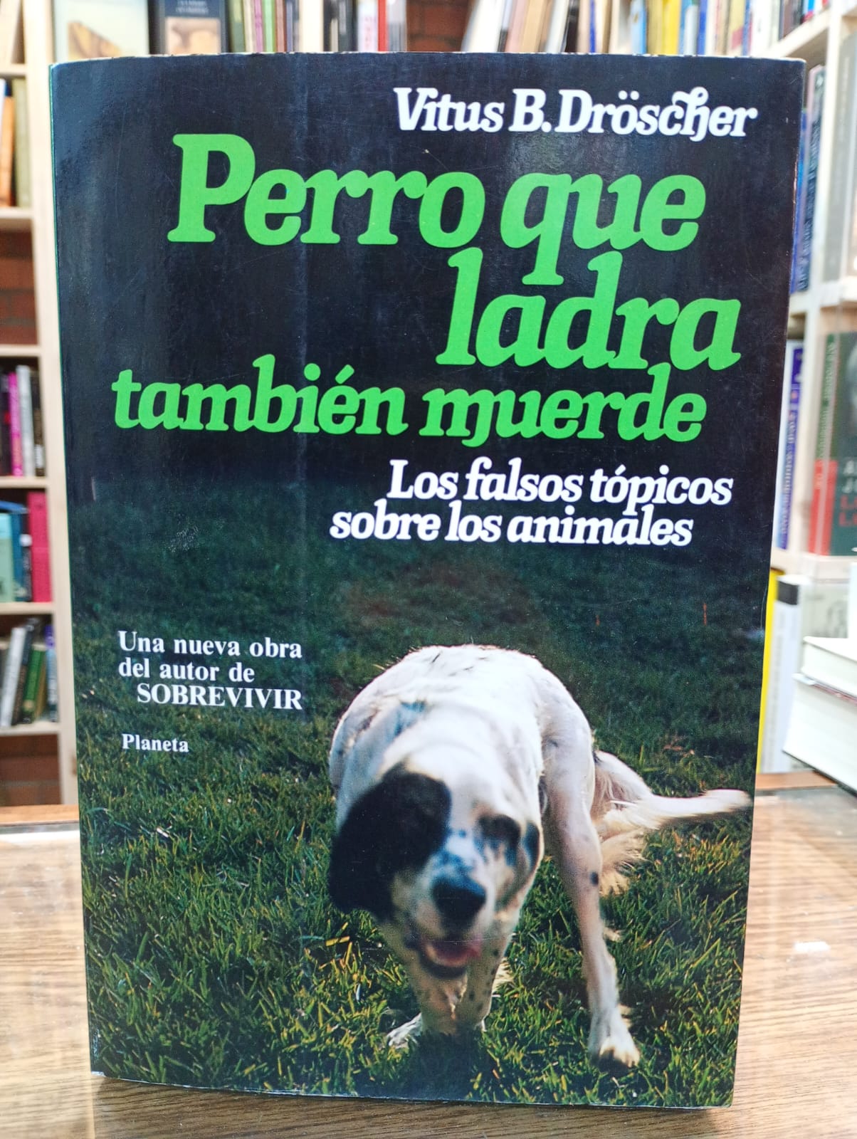 Perro que ladra también muerde