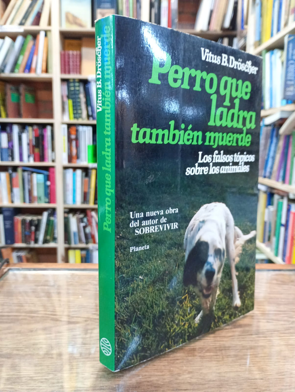 Perro que ladra también muerde
