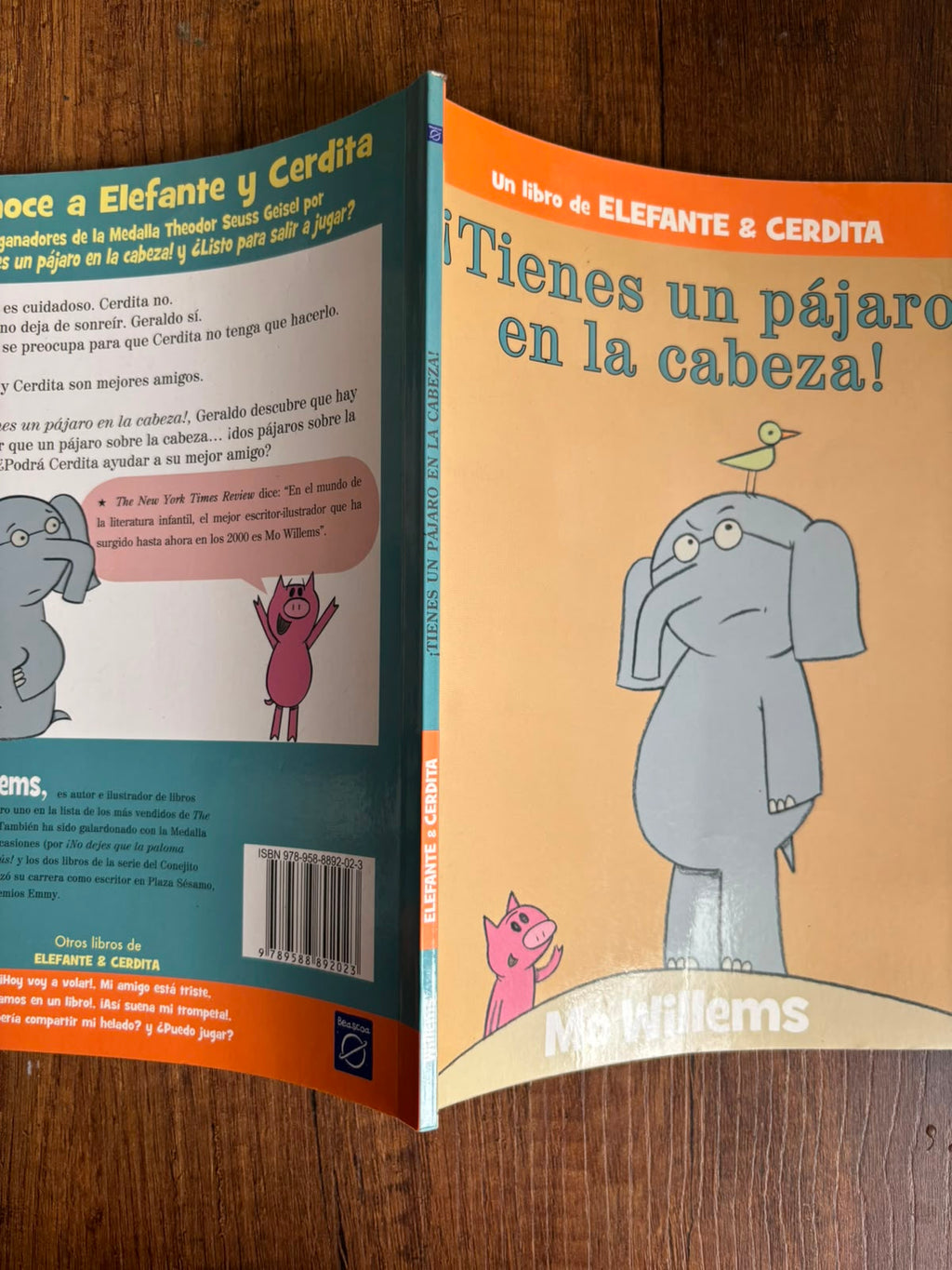 ¡Tienes un pájaro en la cabeza!