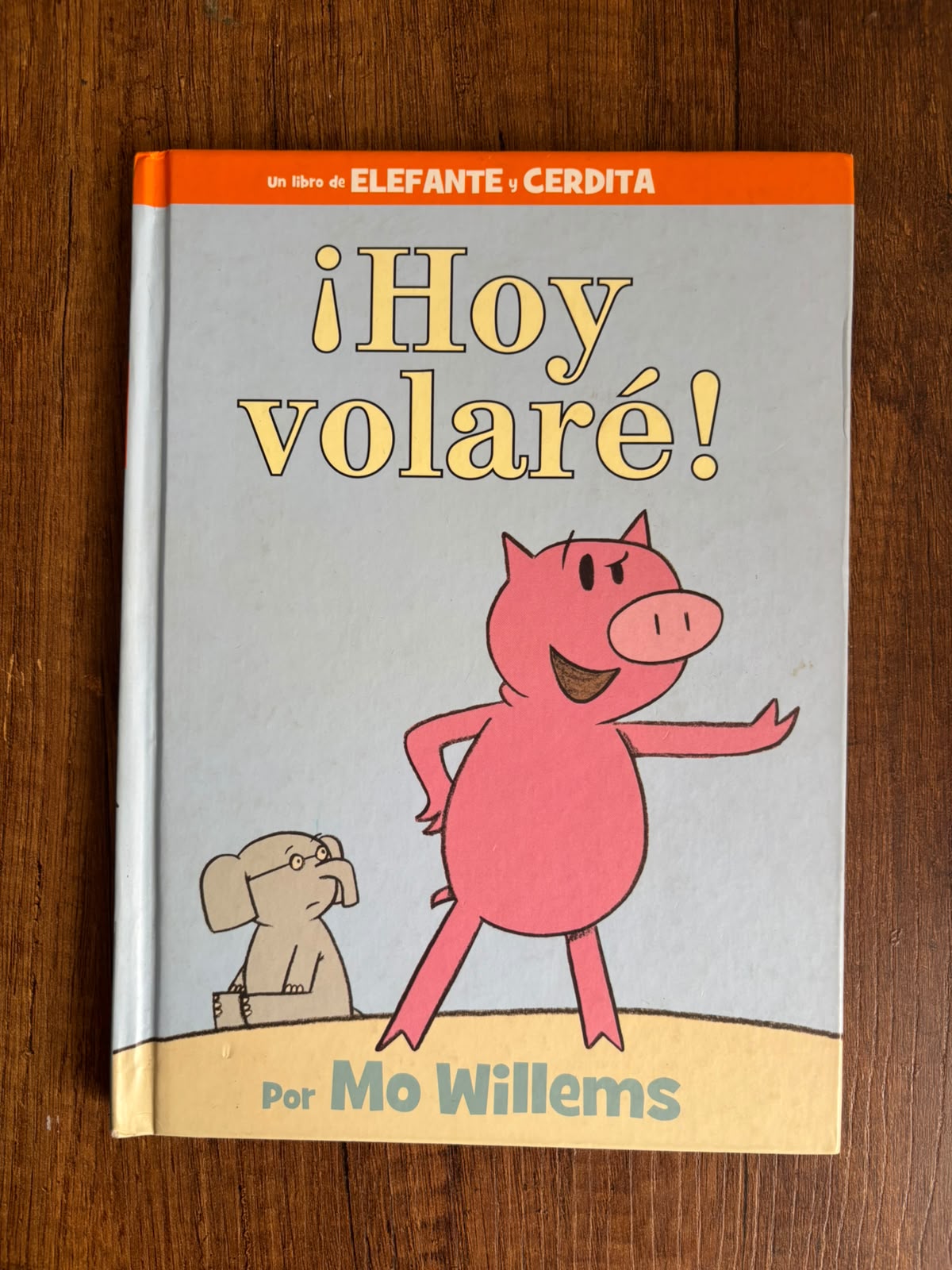 ¡Hoy volaré!