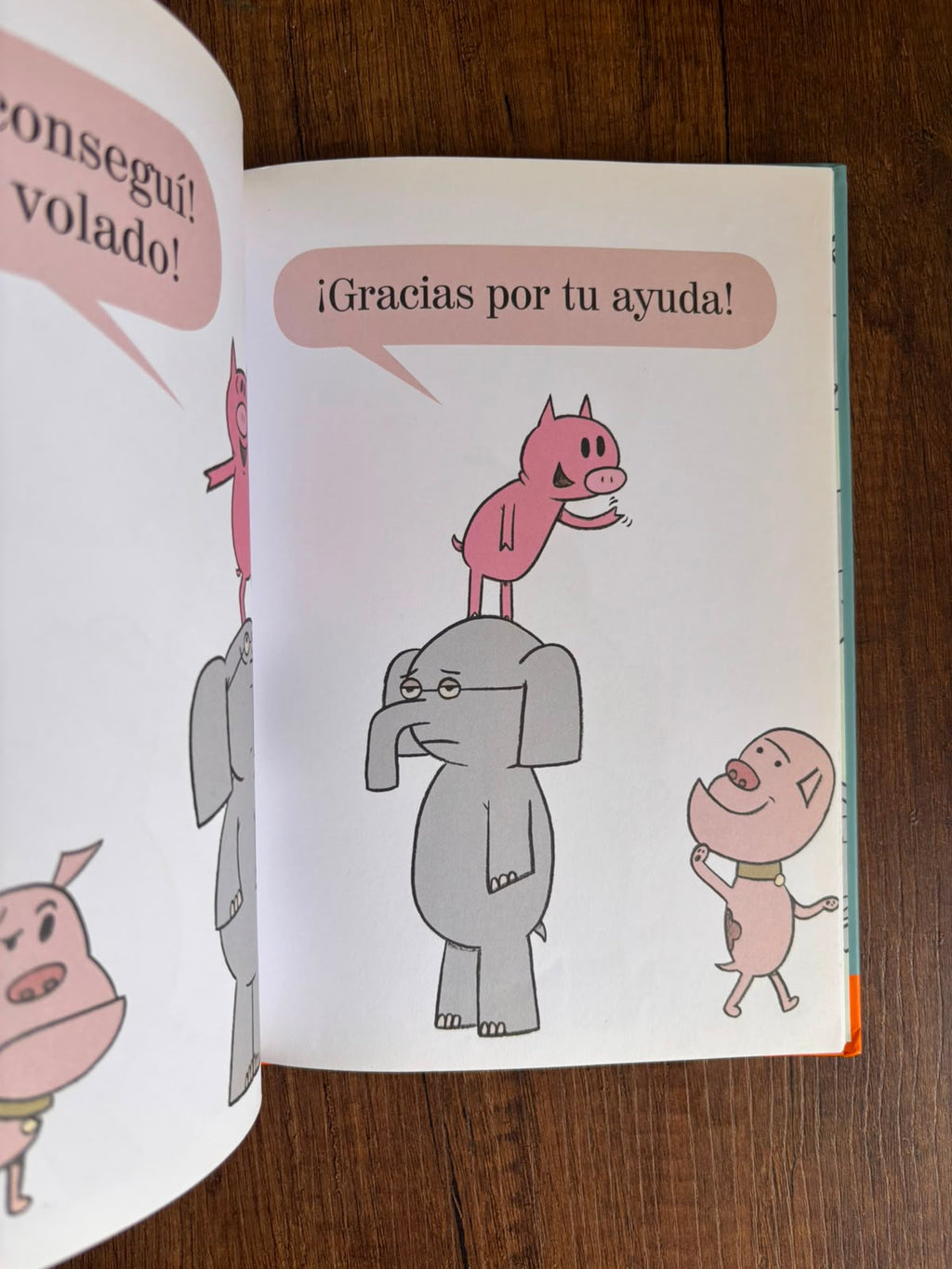 ¡Hoy volaré!