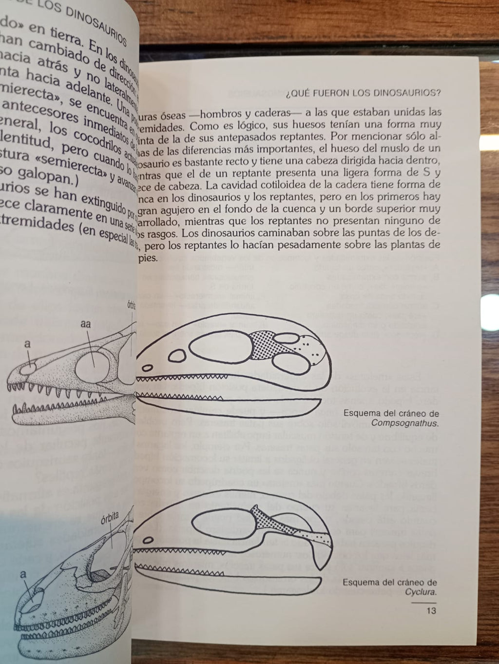 La verdadera historia de los dinosaurios