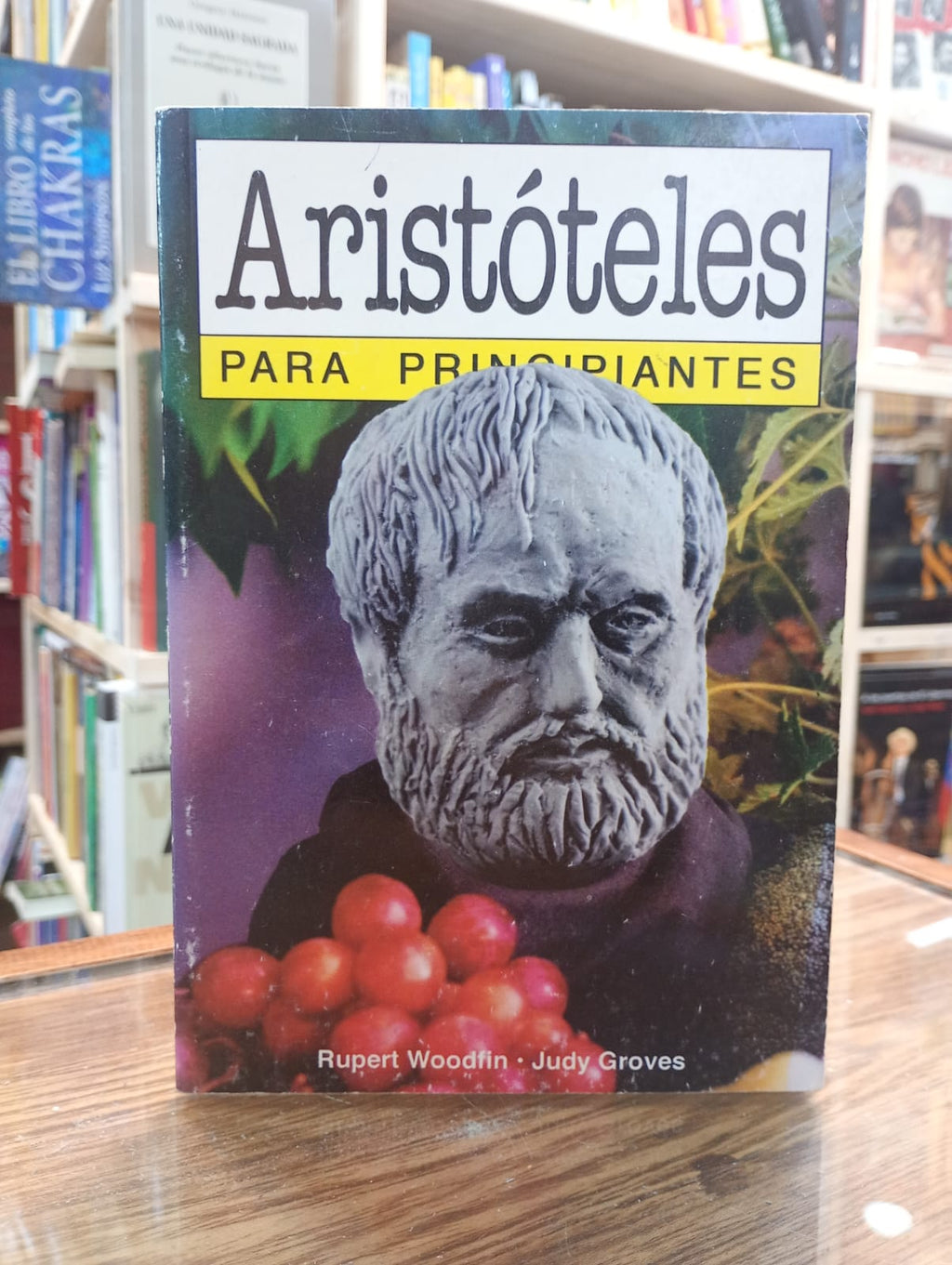 Aristóteles para principiantes