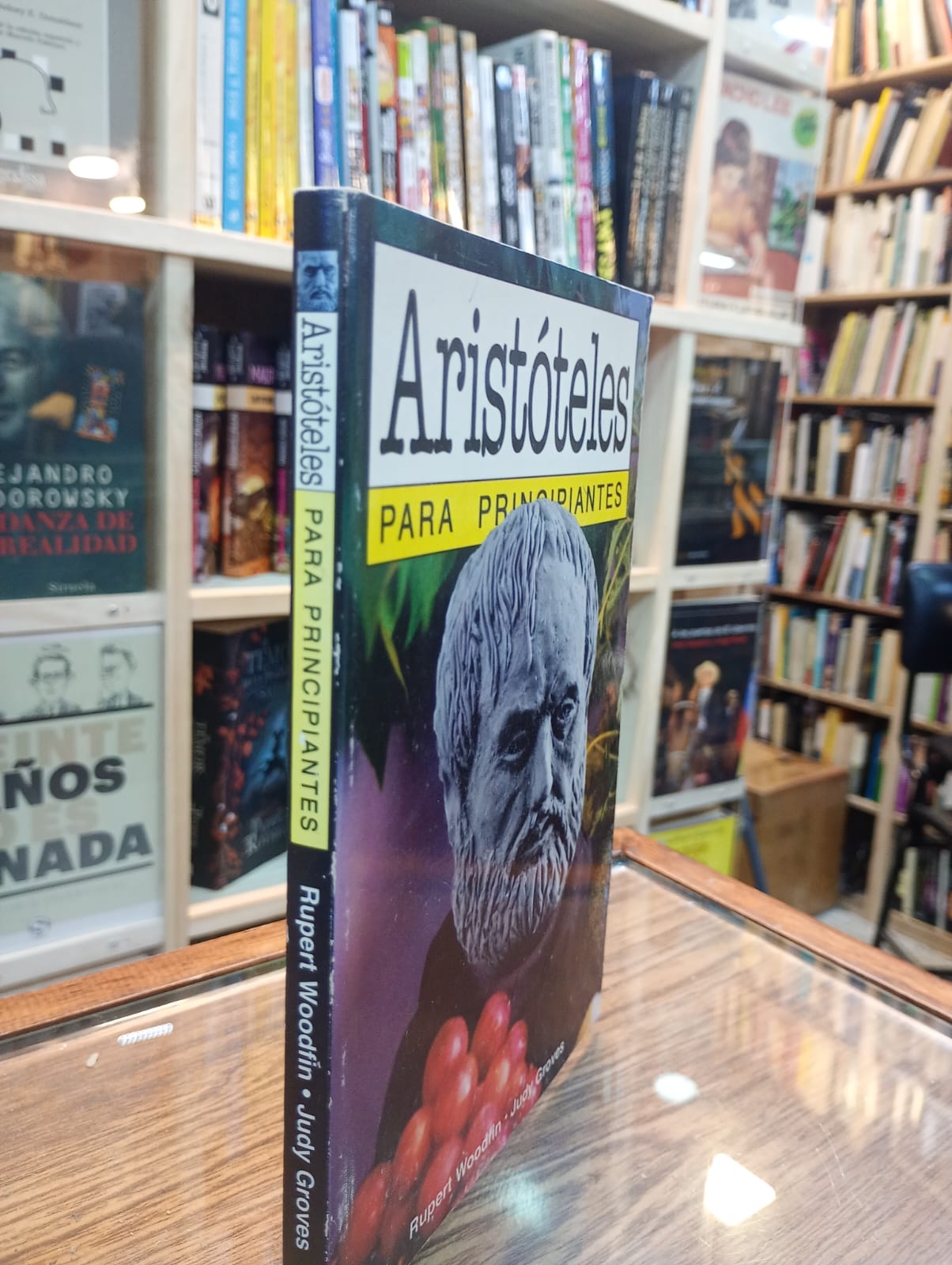 Aristóteles para principiantes