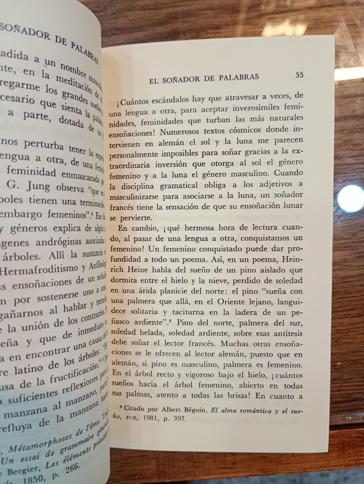 La poética de la ensoñación