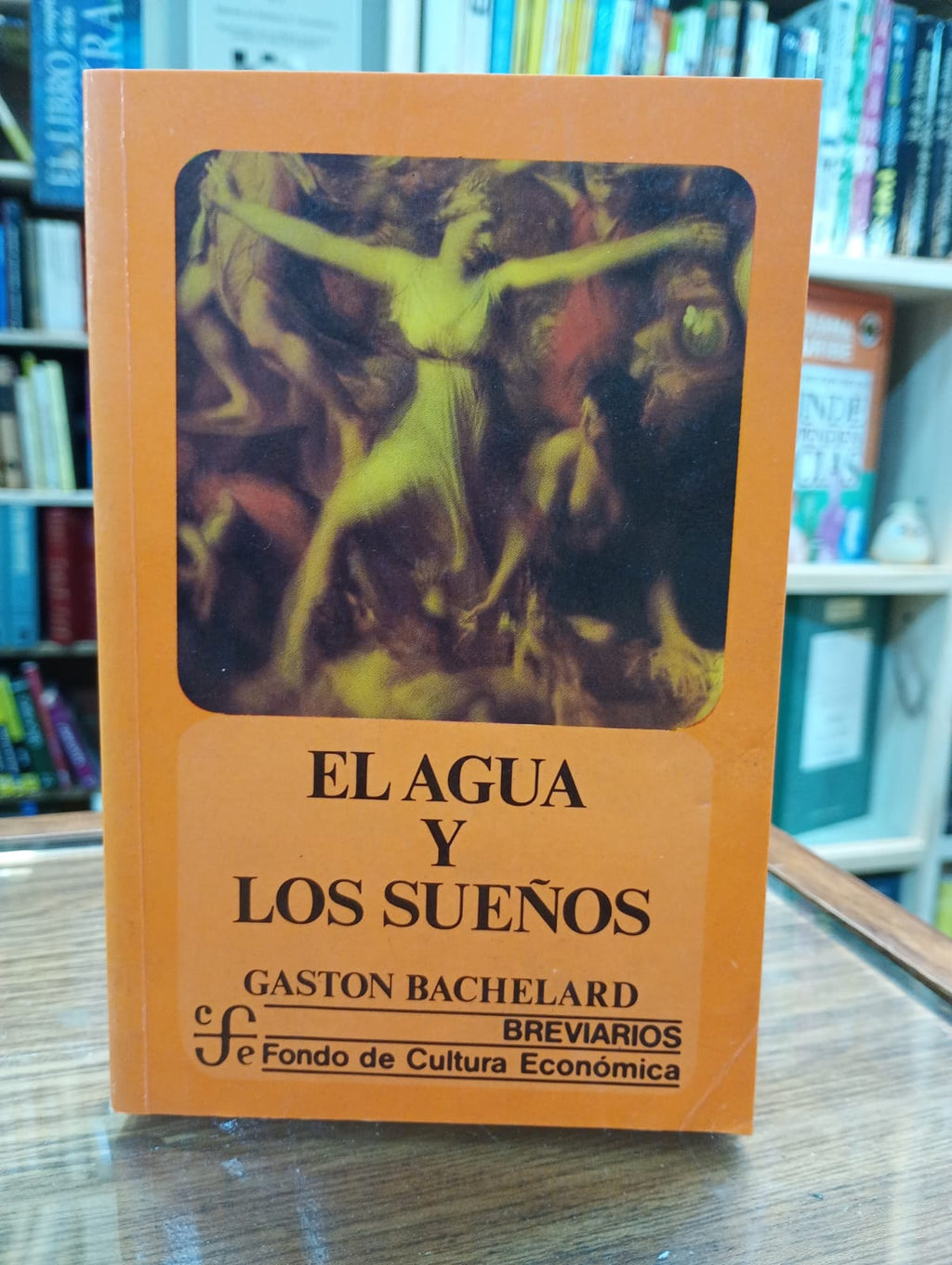 El agua y los sueños