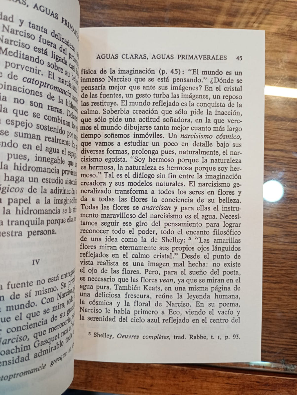 El agua y los sueños