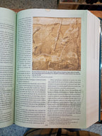 Biblia de estudio. Tras las huellas del Mesías