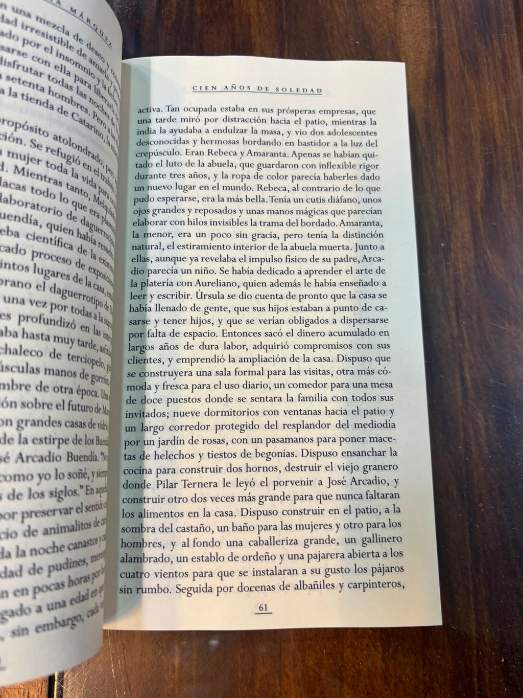 Cien años de soledad