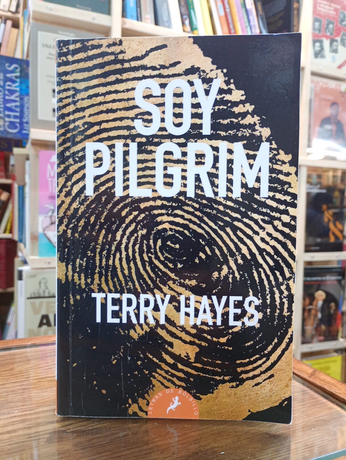 Soy Pilgrim