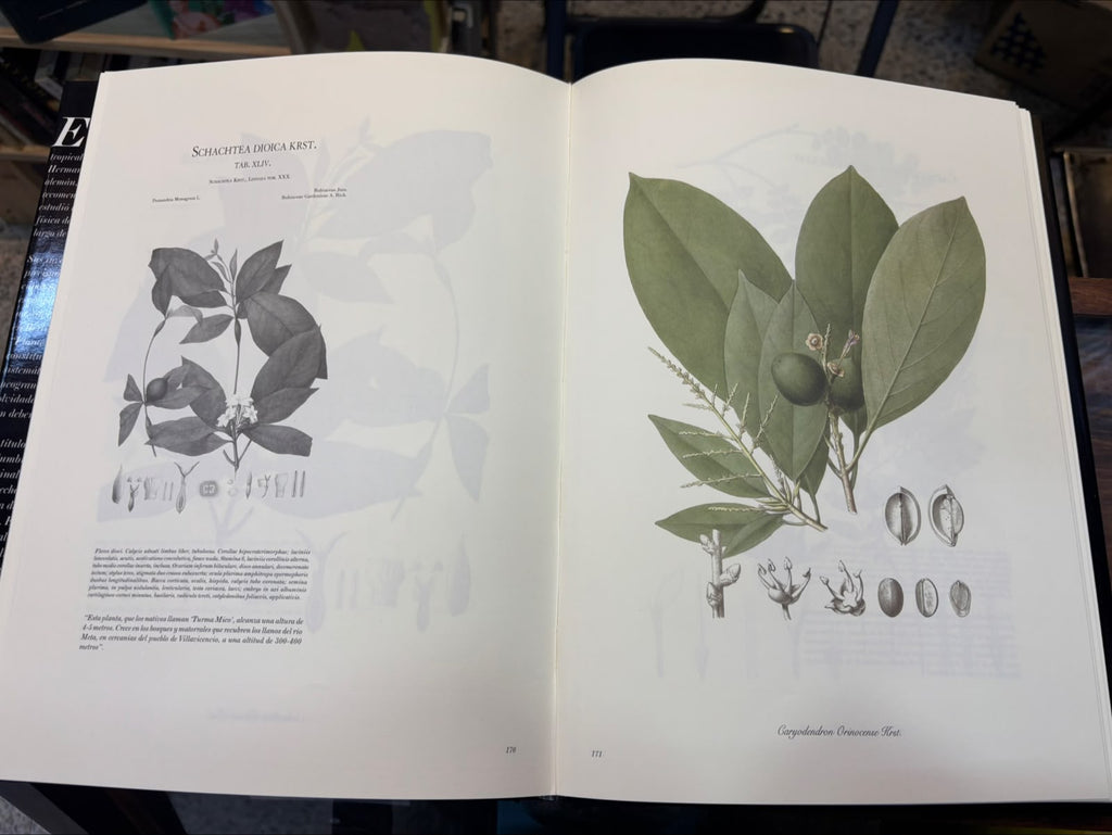 Karsten. Flora Columbiae