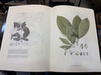 Karsten. Flora Columbiae