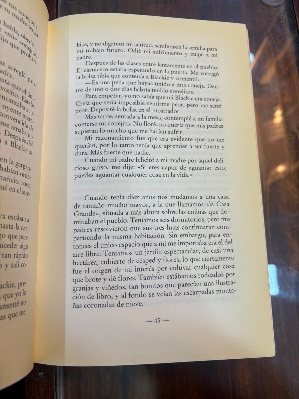 La rueda de la vida