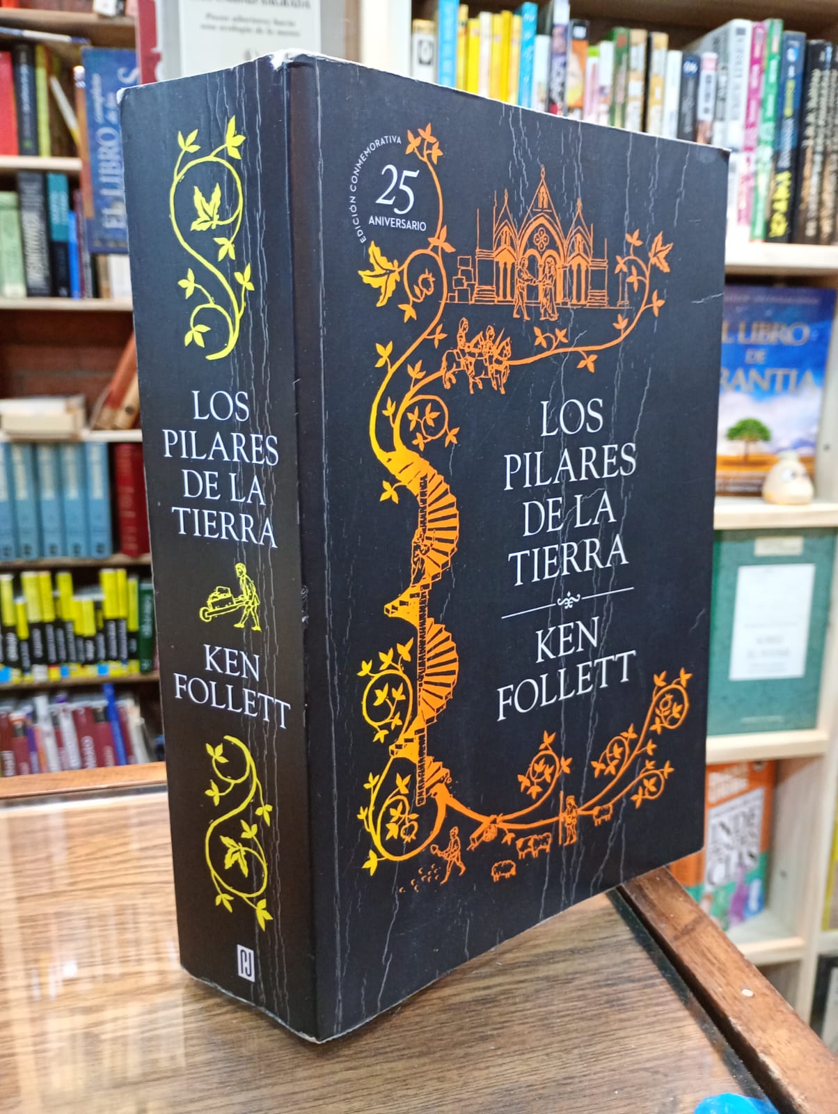 Los pilares de la tierra