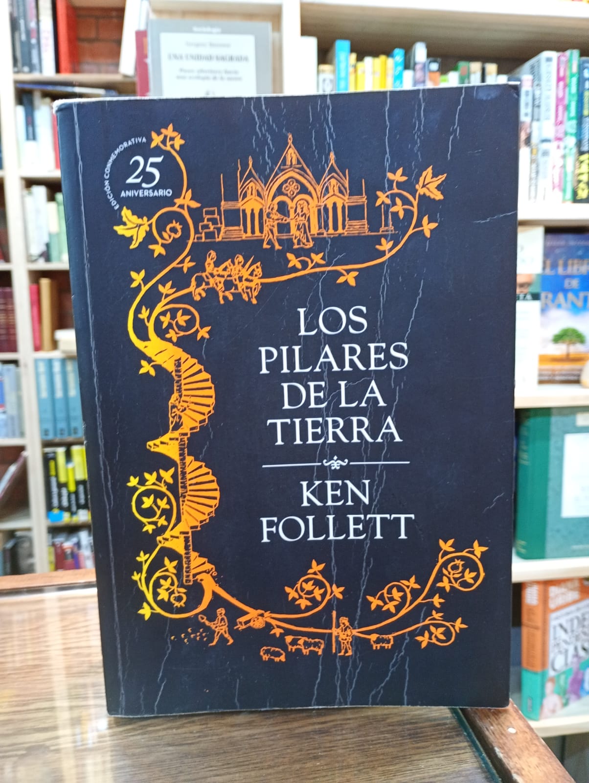 Los pilares de la tierra