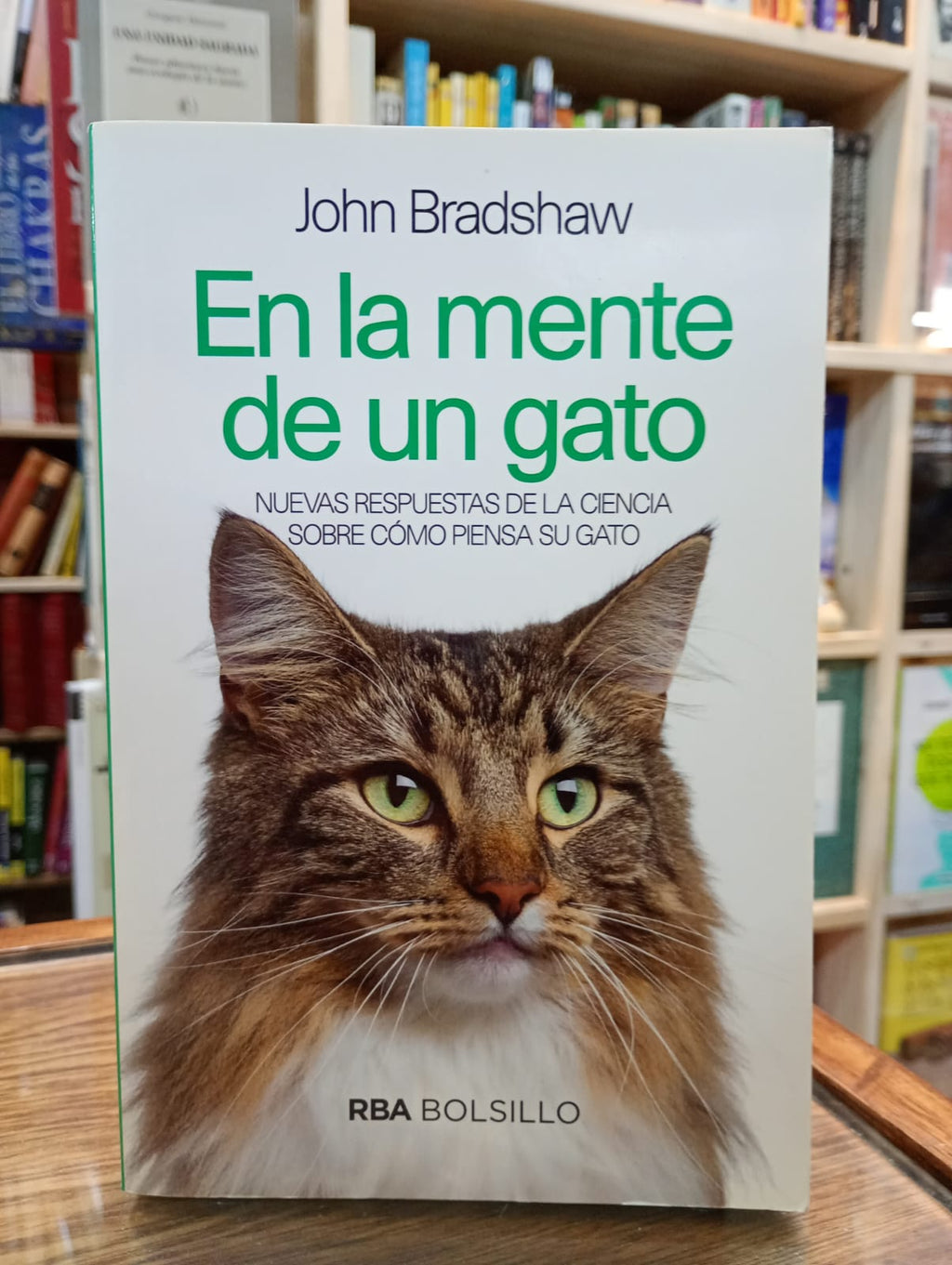 En la mente de un gato