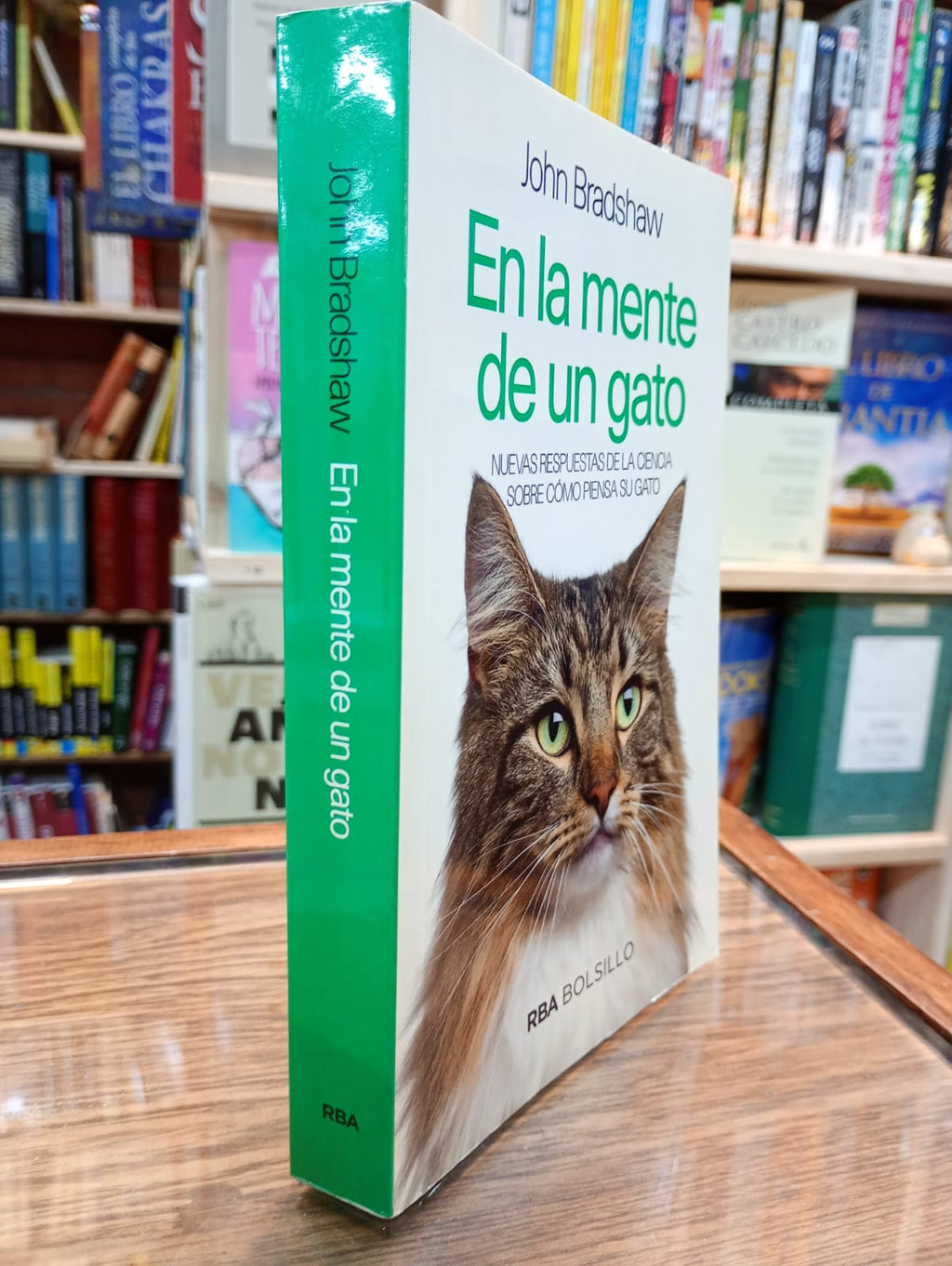 En la mente de un gato