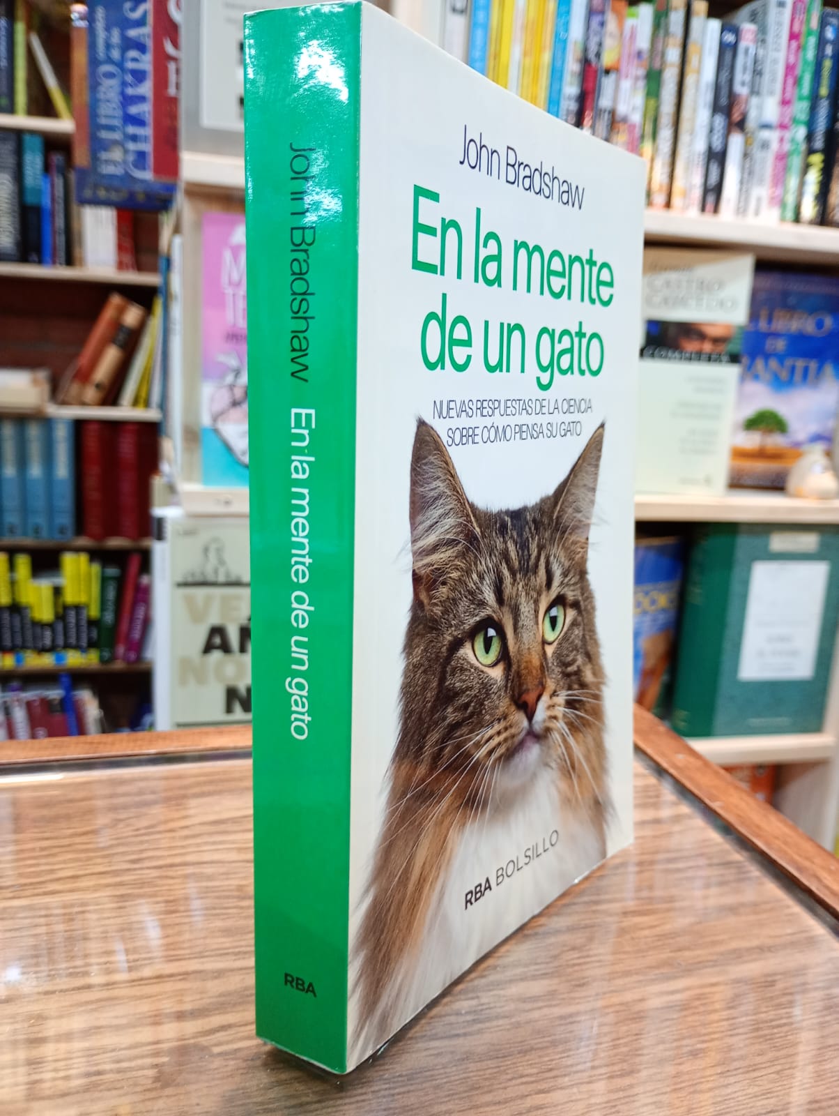 En la mente de un gato
