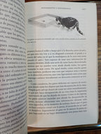 En la mente de un gato