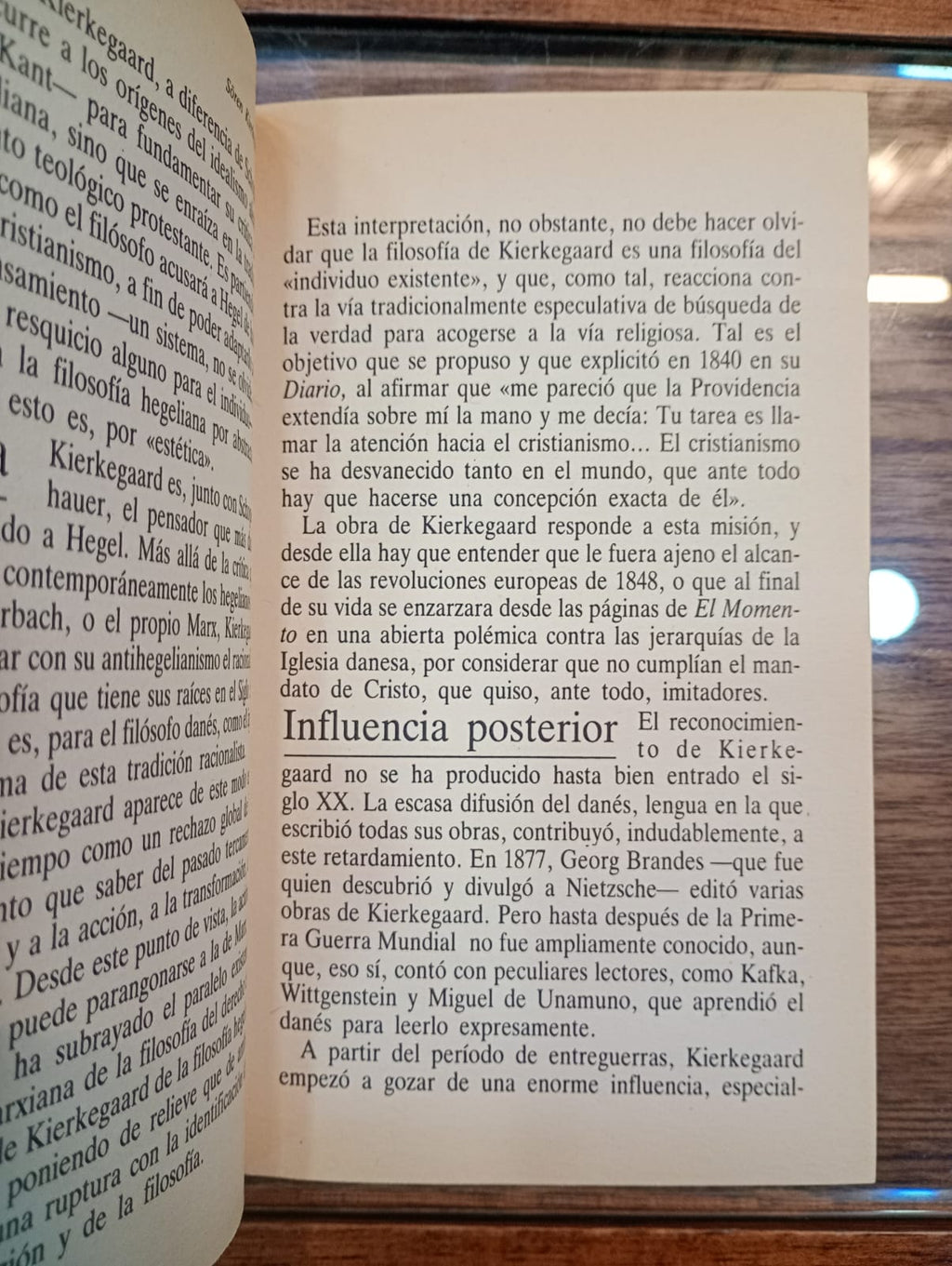 La enfermedad mortal