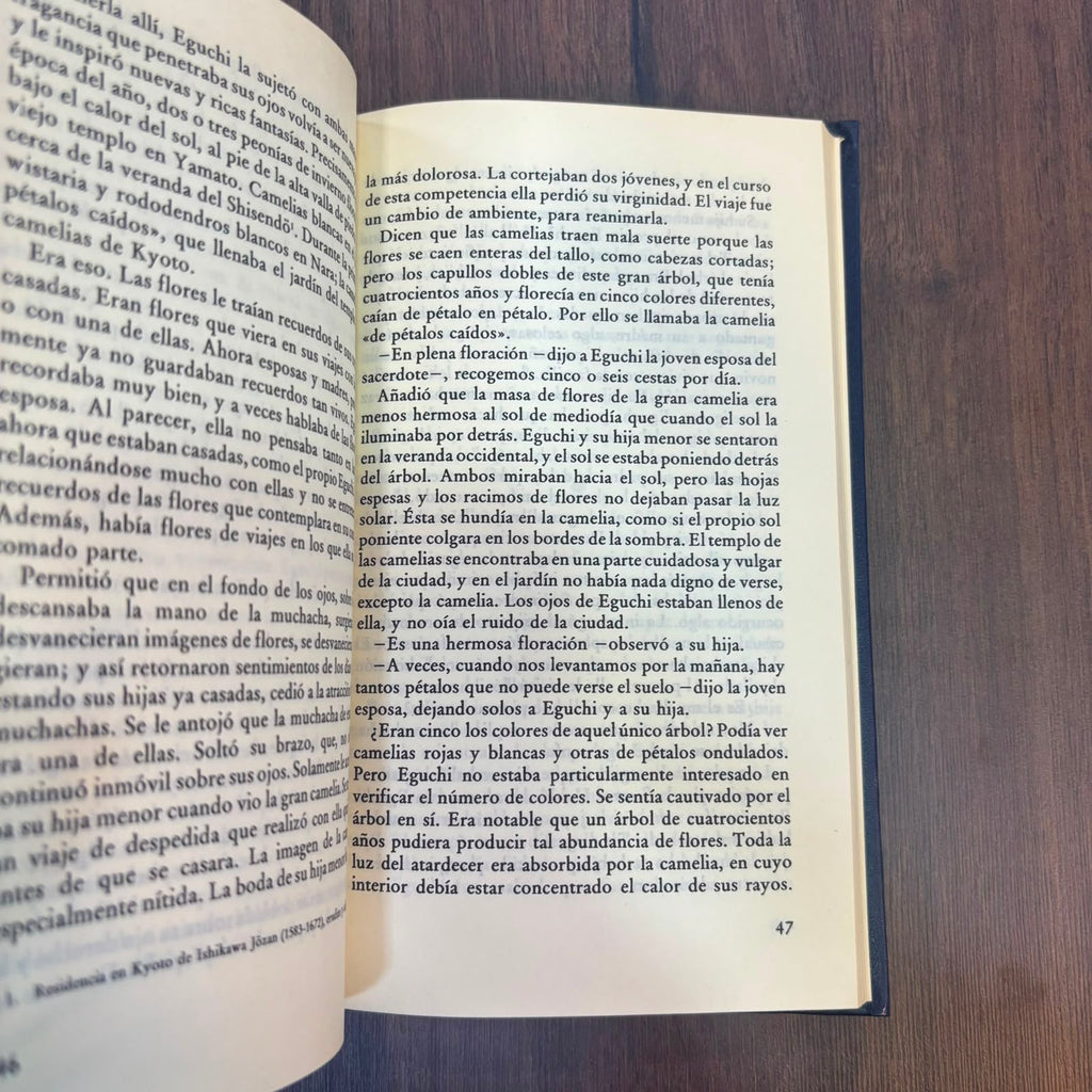 La casa de las bellas durmientes