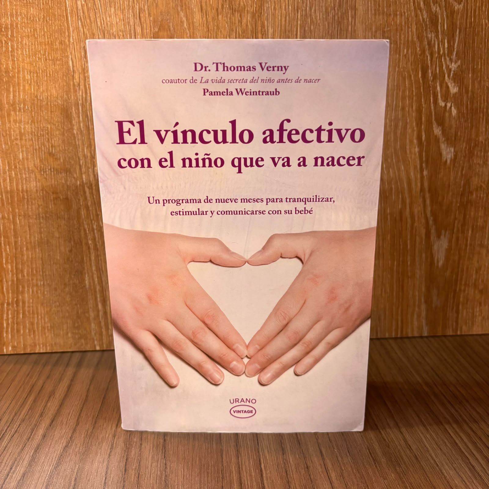 El vínculo afectivo con el niño que va a nacer