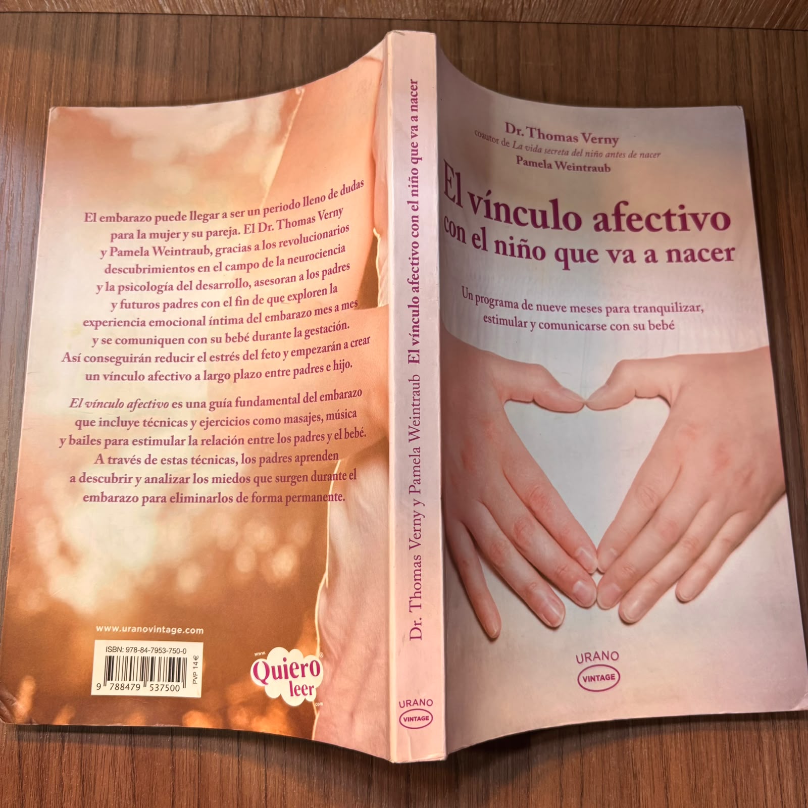 El vínculo afectivo con el niño que va a nacer
