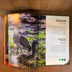 Isla Barú, paraiso de aves